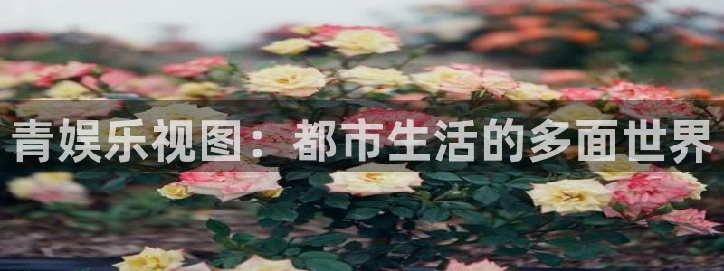 摩根娱乐