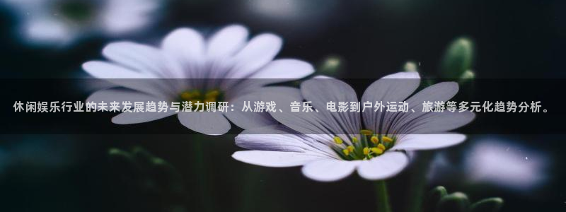 摩根娱乐