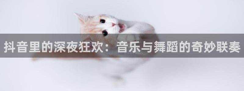 摩根娱乐
