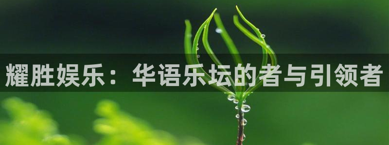 摩根娱乐：耀胜娱乐：华语乐坛的者与引领者