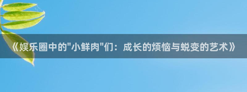 摩根娱乐：《娱乐圈中的\